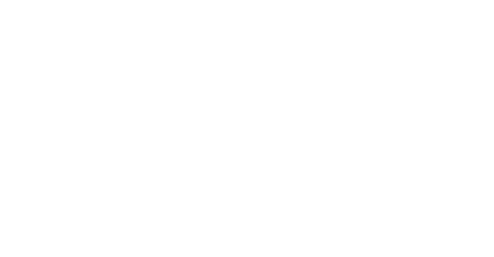 The Bauer Quartet